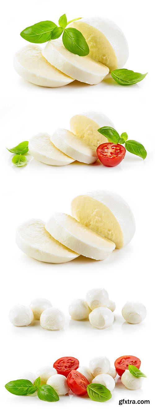 Mozzarella Cheese Isolated - 6xJPGs