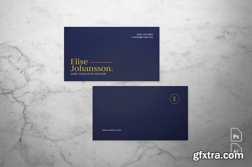 Professional Business Card 01