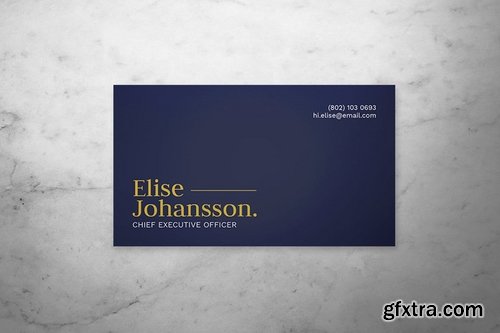 Professional Business Card 01