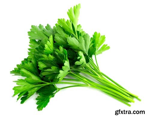 Parsley Isolated - 8xJPGs