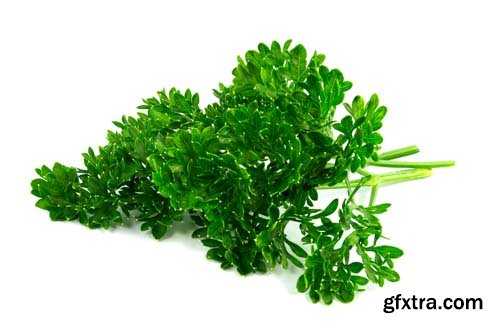 Parsley Isolated - 8xJPGs