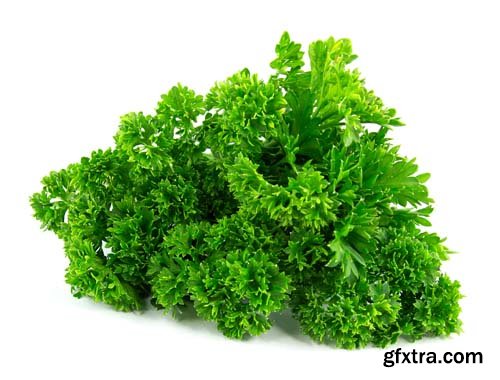 Parsley Isolated - 8xJPGs