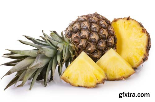 Pineapple Isolated - 10xJPGs