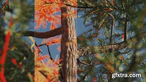 Gumroad – Vertex Trees – Scots Pine – 01