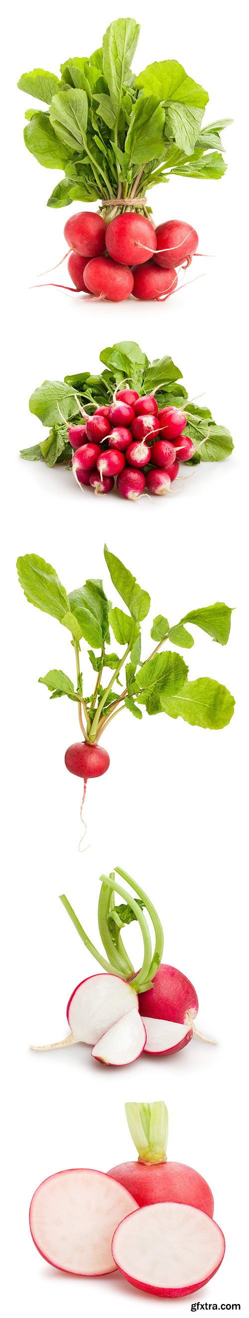 Radish Isolated - 15xJPGs