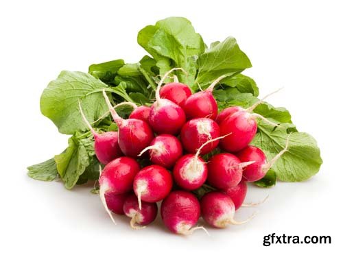 Radish Isolated - 15xJPGs