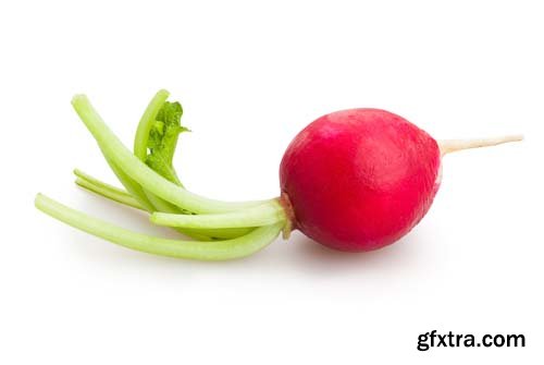 Radish Isolated - 15xJPGs