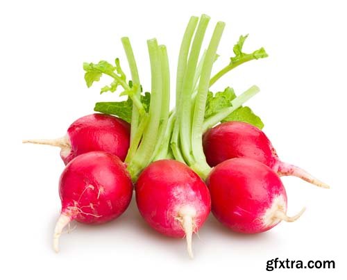 Radish Isolated - 15xJPGs