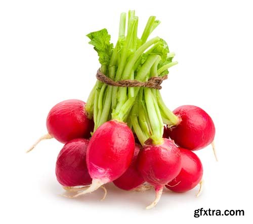 Radish Isolated - 15xJPGs