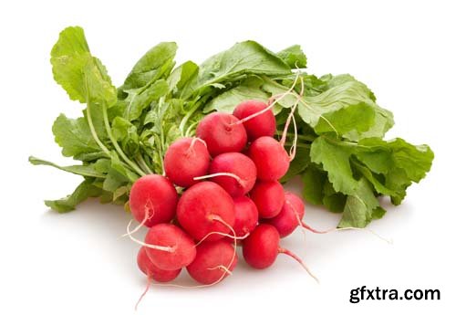 Radish Isolated - 15xJPGs