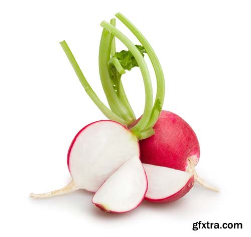 Radish Isolated - 15xJPGs