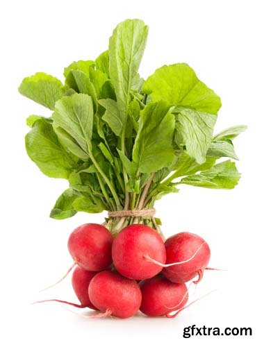 Radish Isolated - 15xJPGs