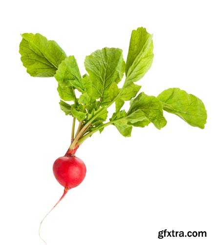 Radish Isolated - 15xJPGs