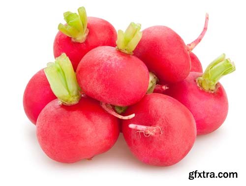 Radish Isolated - 15xJPGs