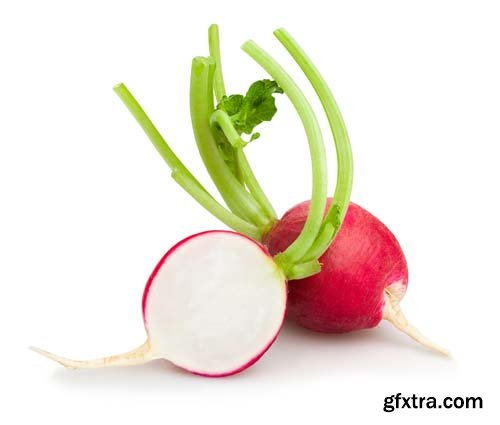 Radish Isolated - 15xJPGs