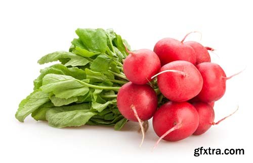 Radish Isolated - 15xJPGs