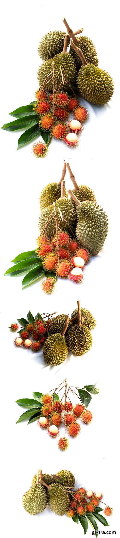 Rambutan Isolated - 6xJPGs