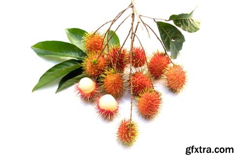 Rambutan Isolated - 6xJPGs