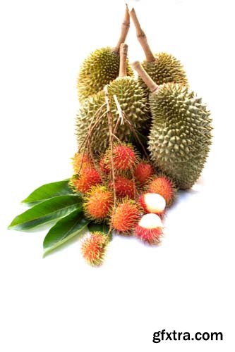 Rambutan Isolated - 6xJPGs