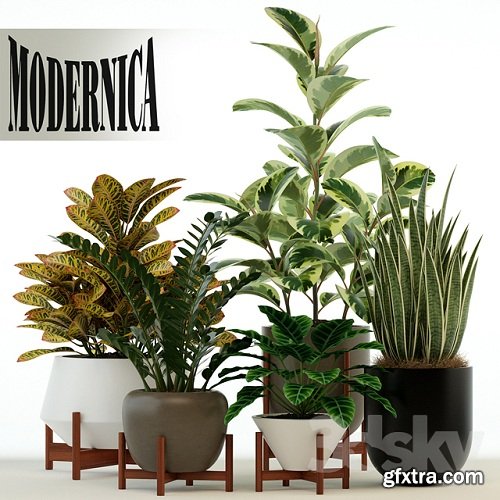 Plants collection 75 Modernica pots