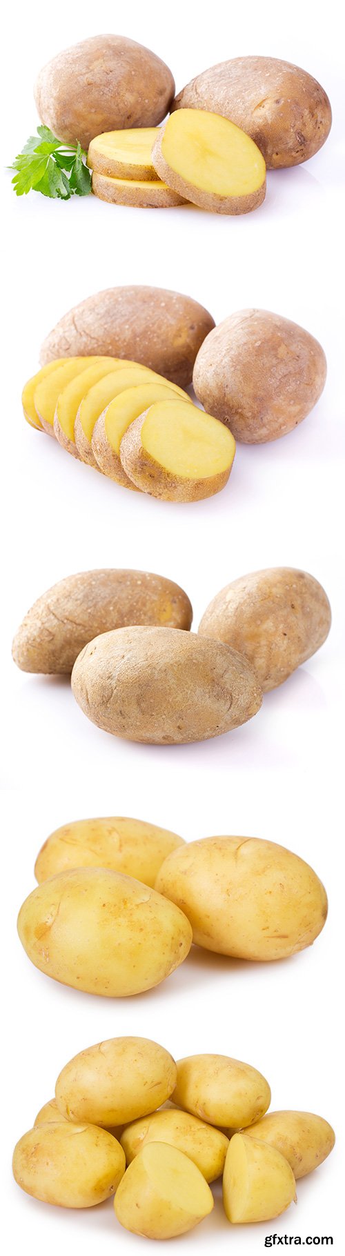 Raw Potato Isolated - 5xJPGs