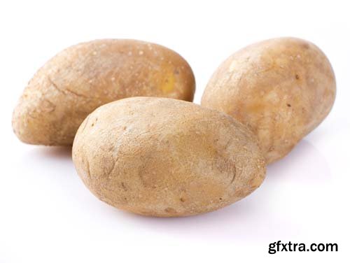 Raw Potato Isolated - 5xJPGs