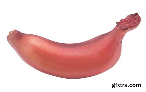 Red Banana Isolated - 7xJPGs