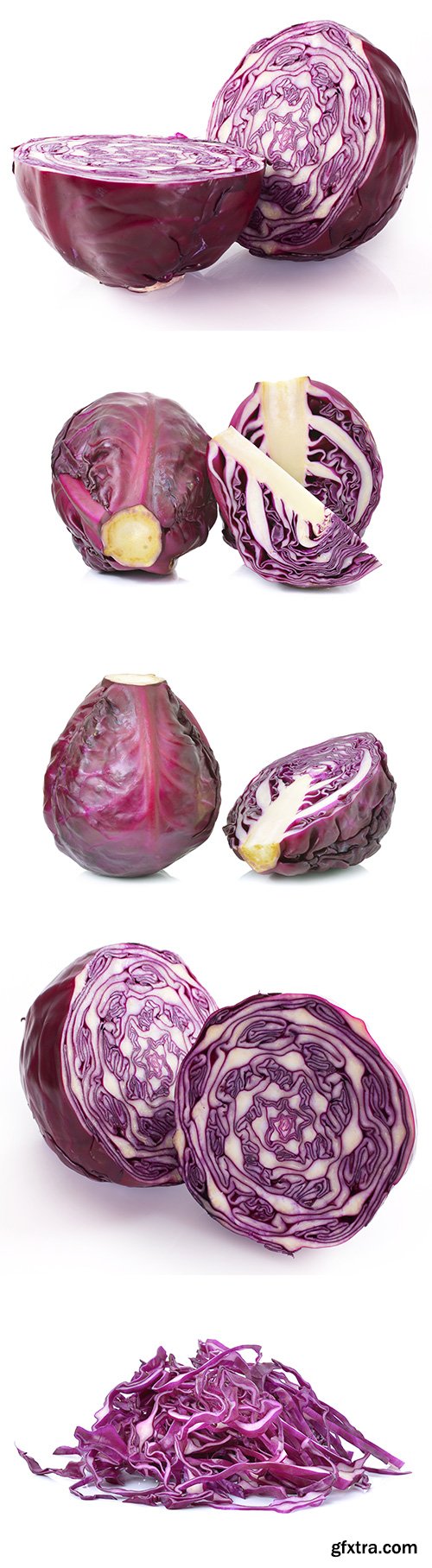 Red Cabbage Isolated - 10xJPGs