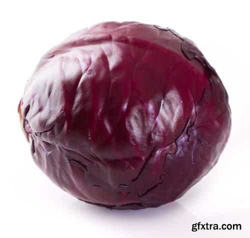 Red Cabbage Isolated - 10xJPGs