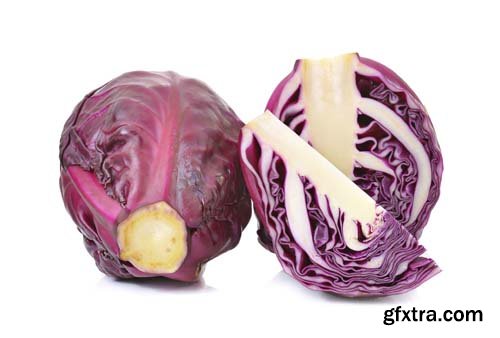 Red Cabbage Isolated - 10xJPGs