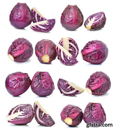 Red Cabbage Isolated - 10xJPGs