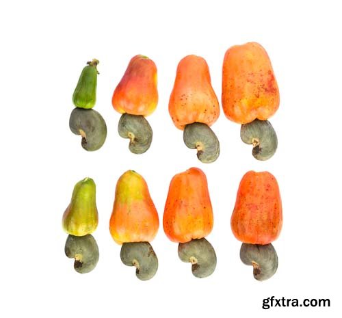 Red Cashew Fruit Isolated - 7xJPGs