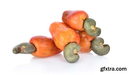 Red Cashew Fruit Isolated - 7xJPGs