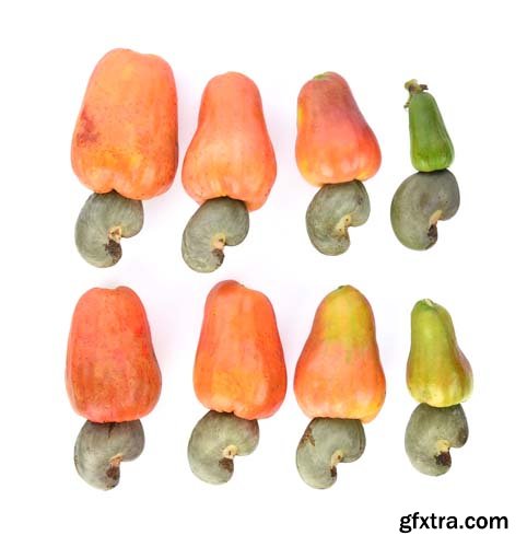 Red Cashew Fruit Isolated - 7xJPGs