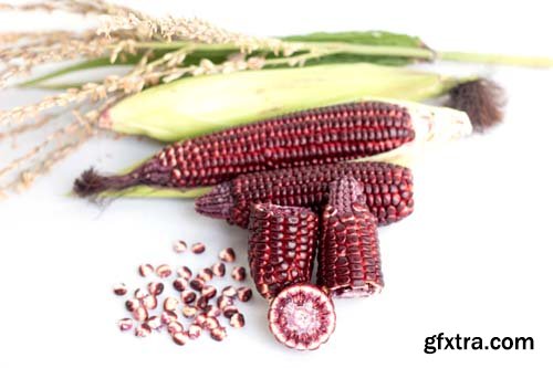 Red Sweet Corn Isolated - 8xJPGs