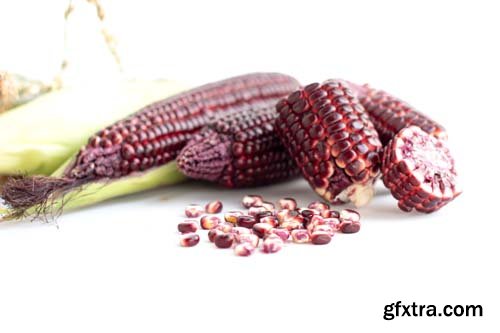 Red Sweet Corn Isolated - 8xJPGs