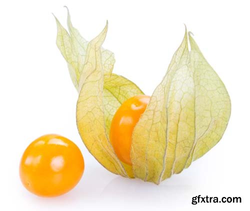 Ripe Physalis Isolated - 6xJPGs