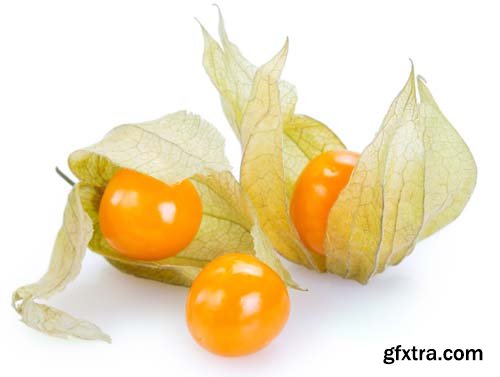 Ripe Physalis Isolated - 6xJPGs