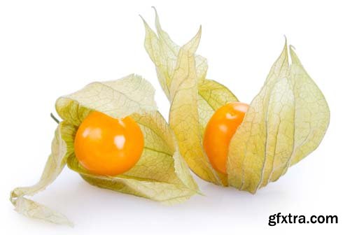 Ripe Physalis Isolated - 6xJPGs