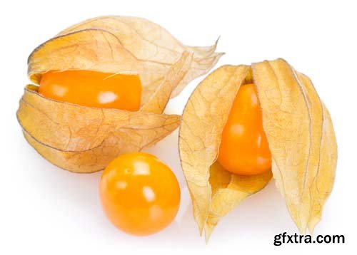 Ripe Physalis Isolated - 6xJPGs