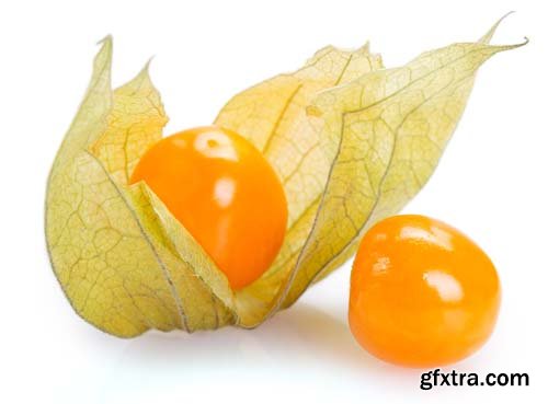 Ripe Physalis Isolated - 6xJPGs