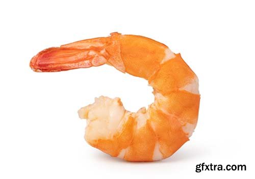 Shrimp Isolated - 6xJPGs