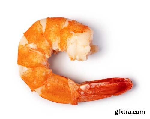 Shrimp Isolated - 6xJPGs