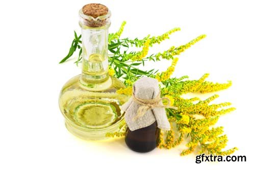 Solidago Medicinal Herb Plant Essential Oil Extract Isolated - 10xJPGs