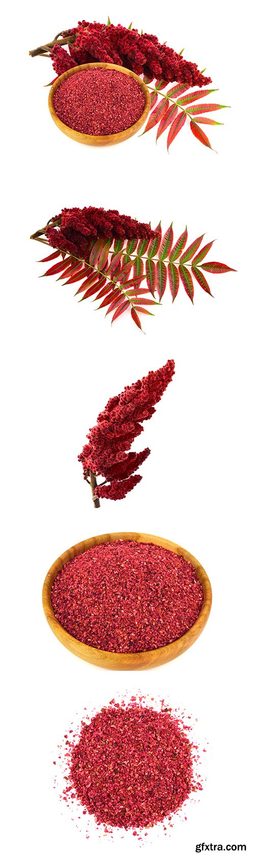 Sumac Isolated - 6xJPGs