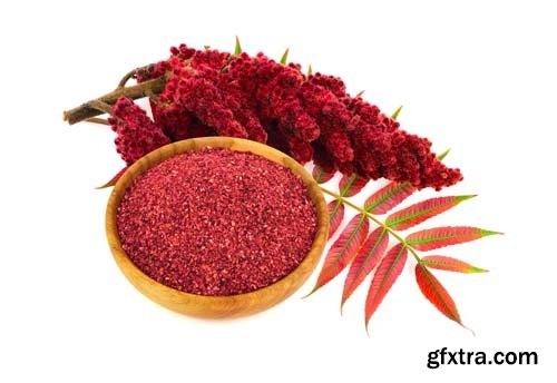 Sumac Isolated - 6xJPGs