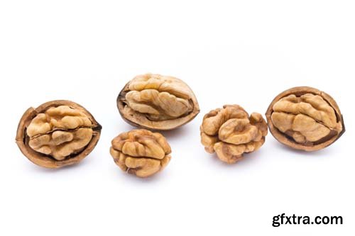 Walnut Isolated - 10xJPGs