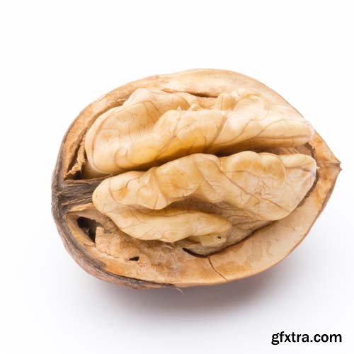 Walnut Isolated - 10xJPGs