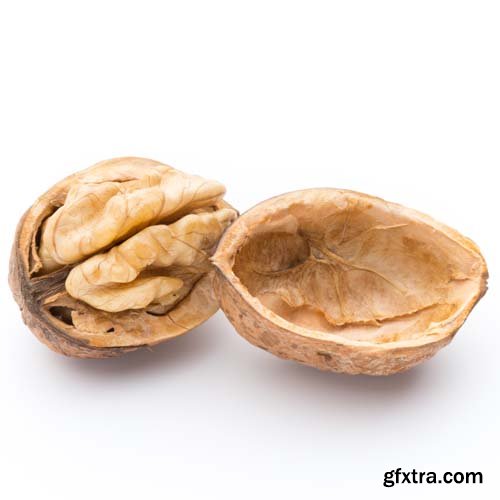 Walnut Isolated - 10xJPGs