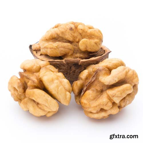 Walnut Isolated - 10xJPGs